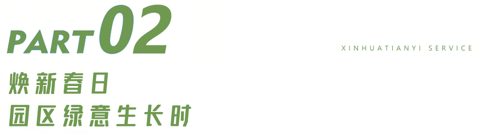 15.png 15.png