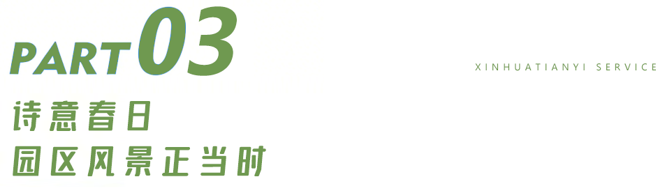 17.png 17.png